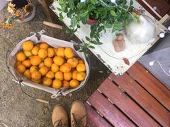 -肥朵食堂(带梦胡同店)