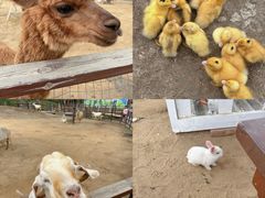 -盈香心动乐园