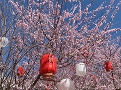 -三里河公园
