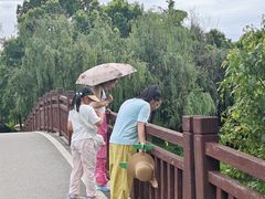 -洋湖国家湿地公园