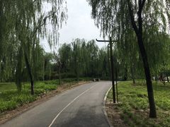 -北京麋鹿生态实验中心