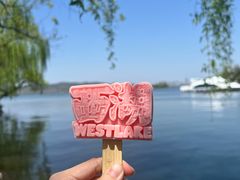 -西湖游船