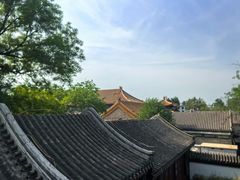 -菖蒲河公园
