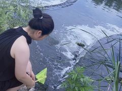 -洨河生态公园