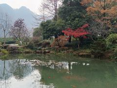 -中国茶叶博物馆(双峰馆区)