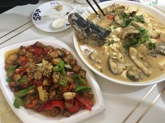 -煲来饱去冷水鱼