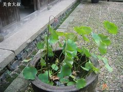 -马寅初故居