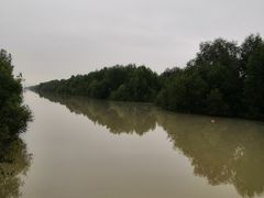 -崖口红树林海鲜餐厅