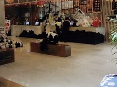 -汤森悠生活文化汤(江宁万达店)