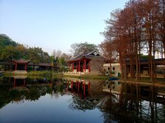-顺峰山公园