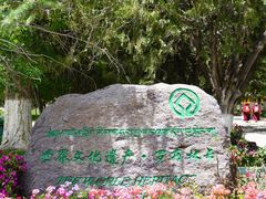 -罗布林卡