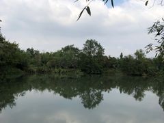 -西溪国家湿地公园