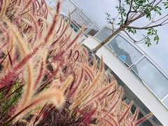 -白石龙音乐公园