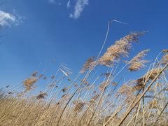 -野鸭湖国家湿地公园