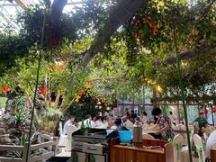 -大鹅岛绿色生态美食园