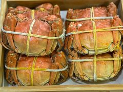 -黄记大闸蟹专卖店·活蟹·醉蟹