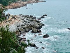 -广东惠东海龟国家级自然保护区