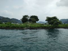 -金盆阿嬷香菇茶叶蛋(玄光店)