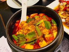 -陈麻婆豆腐总店