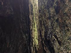 -黄山白云宾馆