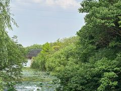 -昆山城市生态森林公园