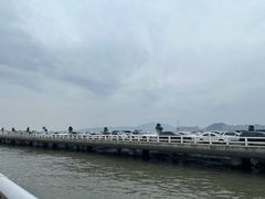 -演武大桥观景平台