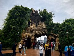 -大槐树寻根祭祖园
