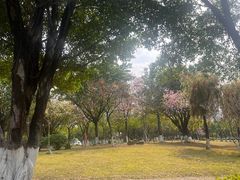 -飞来湖湿地公园