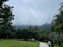 -深圳仙湖植物园
