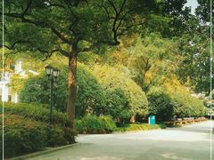 -上海虹桥迎宾馆