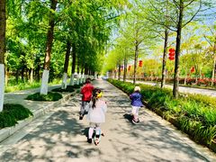 -上海长兴岛郊野公园