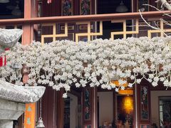 -寂照庵