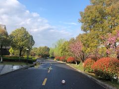 -蓝山咖啡馆(白马湖店)
