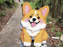 -青龙山国家森林公园
