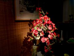 -双季花艺园艺市场(浦东店)