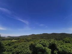 -大屏嶂森林公园