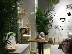 -小时光咖啡馆(开森度假森林店)