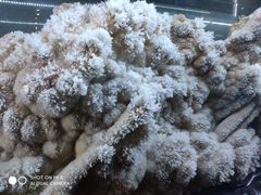 -湖南省地质博物馆