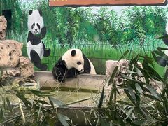 -天津市动物园