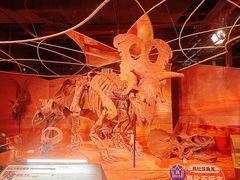 -正佳自然科学博物馆