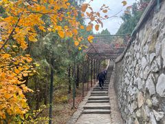 -香山公园