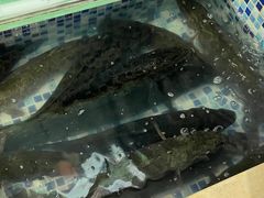 -老四川平头酸菜鱼(衙前店)