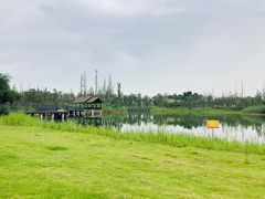 -白鹭湾湿地公园