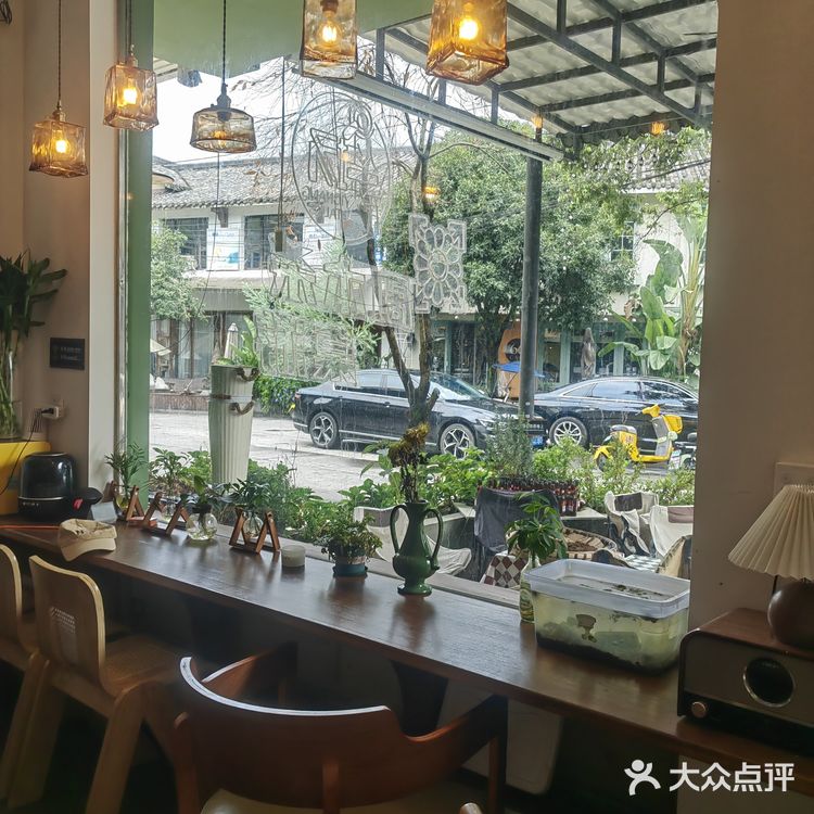 温江区周末休闲时光