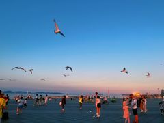 -东港音乐喷泉广场