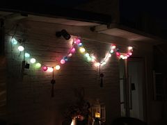 -ZooYoo佐佑咖啡(鼓楼店)