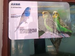 -青藏高原野生动物园