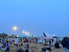 -碧海金沙