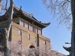-武汉大学-樱园