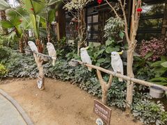 -南宫五洲植物乐园